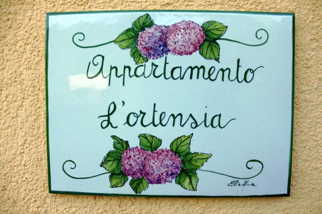 Appartamenti L'Olivo Bagnone エクステリア 写真