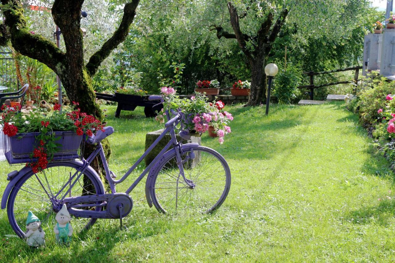 Appartamenti L'Olivo Bagnone エクステリア 写真